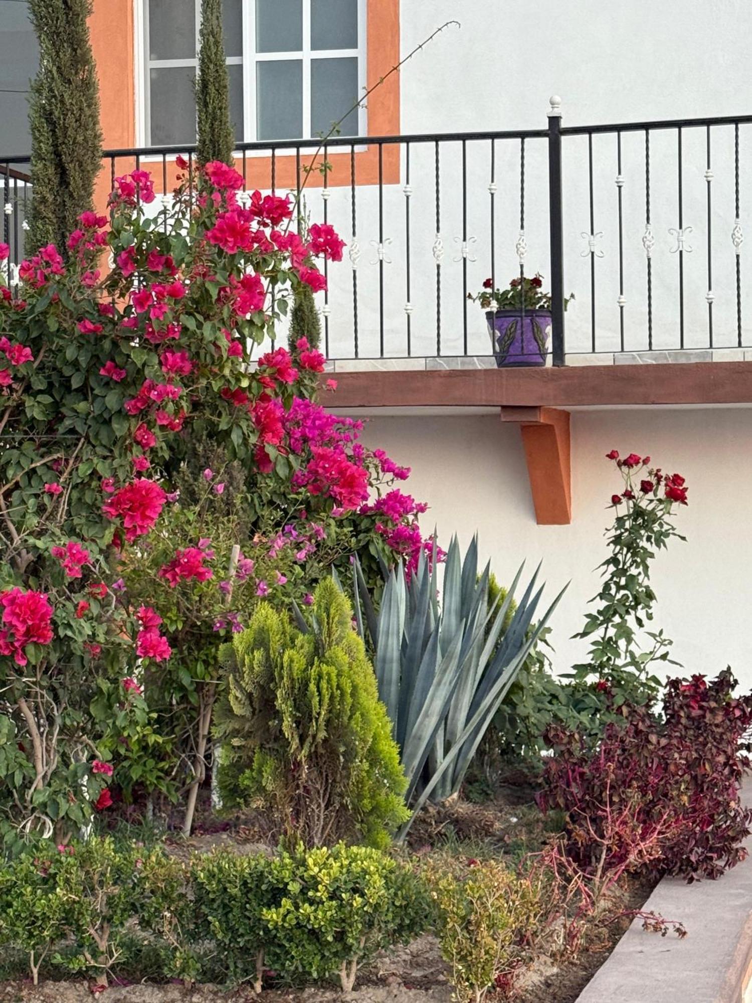 Hotel La C San Jose Iturbide Eksteriør bilde